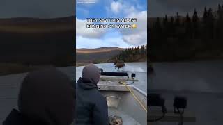 They were cruising and saw this moose running on water 😳  shorts [upl. by Bortz]