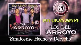 Los Del Arroyo en vivo 2014 [upl. by Ettedranreb]