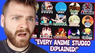 Every Anime Studio Explained in 17 Minutes  REACTION [upl. by Karoline]