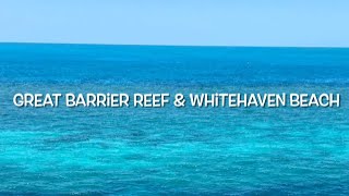 Hamilton Island Episode 4 Great Barrier Reef amp Whitehaven Beach Whitsundays Hamilton Island Vlog [upl. by Erinna]