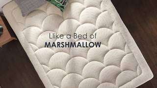 Mellow Home  Super Plush Pillow Top MARSHMALLOW Mattress [upl. by Naaitsirhc]