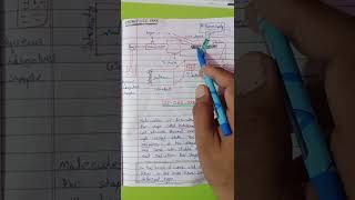 Inductively Coupled Plasma  Optical Emission Spectroscopy  ICPOES   ICPOES  spectroscopy [upl. by Salvadore]