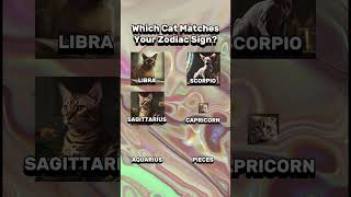 Which Cat Matches Your Zodiac Sign 🐈‍⬛✨ [upl. by Ehrenberg]