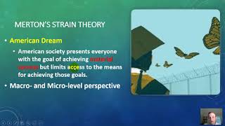 Strain Theories in Criminology [upl. by Melisa647]