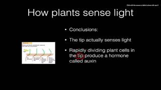 Plant Responses [upl. by Loring2]