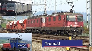 Swiss Cargo Trains  Re 1010 Holcim  Crossrail BR 186  SBB Cargo Eem 923  Immensee Gotthardbahn [upl. by Brose]