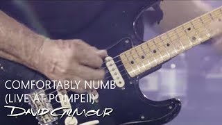 David Gilmour  Comfortably Numb Live At Pompeii [upl. by Ablasor832]