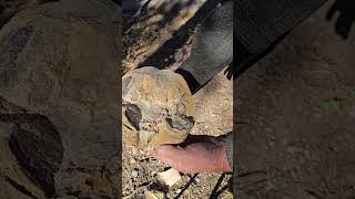 Nodule full of crystals newmexico [upl. by Tirzah]