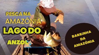 PESCA NA AMAZÔNIA NO LAGO DO ANZOL [upl. by Aihseya]