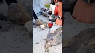 Hammer Drill vs Concrete Breaking Ground with Ease [upl. by Tersina]