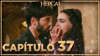 Hercai  Capítulo 37 [upl. by Niwled871]