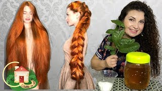 CABELO GIGANTE EM 1 MÊS  ACABE COM A QUEDA DE CABELO  Culinária em Casa [upl. by Can]