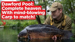 Carp Fishing Open Access Venues Series Dawford Pool  Carp Fishing 2020 [upl. by Brande]