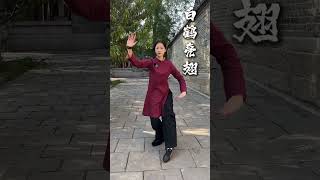 Tai Chi who made you eat so much丨EP544 [upl. by Isaac]