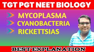 Mycoplasma  Cyanobacteria  Rickettsia  Lower botany one shot [upl. by Elrebma854]