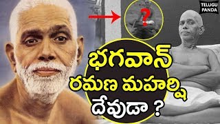 Bhagawan Ramana Maharshi Life History  రమణ మహర్షి జీవిత చరిత్ర  Ramana Maharshi  Telugupanda [upl. by Otsuaf]