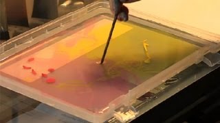 Marbling Acrylic Paint  Art amp Painting Tutorials [upl. by Ehcar]