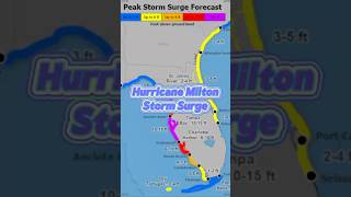 Hurricane Milton Storm Surge [upl. by Laney210]