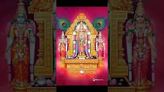 murugan murugansongs murugantemple muruganthunai muruganwhatsappstatustamil muruganvibes [upl. by Llerud861]