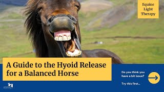 Light Up the Arena A Guide to the Hyoid Release for a Balanced Horse [upl. by Nelubez]