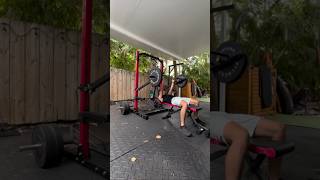 SFJAMMER ARMS by Signature Fitness homegym garagegym weightlifting [upl. by Dibru574]