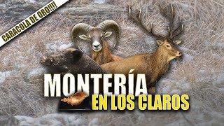 Montería en los Claros  Iberalia GO [upl. by Darnall]