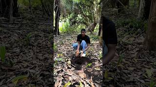 Survival bushcraft skills 🫡 shortsvideo bushcraft lifehack [upl. by Nari]