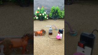 Diy how to make horse water bathed  Mini motor water pump mini project  173 [upl. by Amelia]