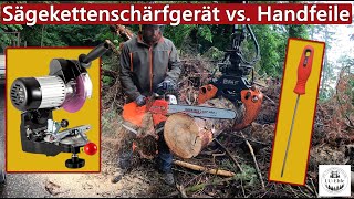 Sägekettenschärfgerät vs Handfeile  Wir machen den Test mit der Motorsäge [upl. by Adnilec]