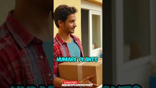 BUNNY CART aquarium plants☘️UNBOXING amp REVIEW✅  TOP QUALITY aquarium unboxingandreview [upl. by Ijies349]