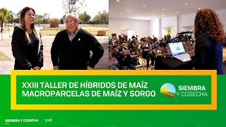 SIEMBRA Y COSECHA TV Taller de híbridos de maíz de la EEAOC [upl. by Ahsar]