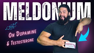 How Meldonium affects testosterone and SHBG [upl. by Lyrpa]