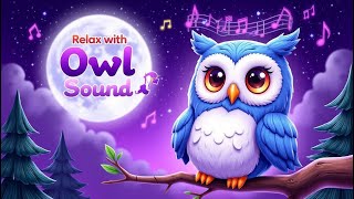 Discover Tranquility with Owl Sound Relaxing Nighttime Ambiance [upl. by Arrad]