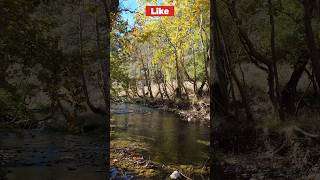 Βουραικός Ποταμός Ορεινή Αχαΐα river greece nature forest adventure explore roadtrip tree [upl. by Gupta686]