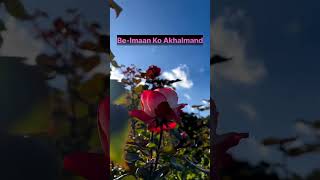 Junaid Jamshed Naat Muhammad Ka Roza Junaid jamshed kalams heera gold new naat [upl. by Anirrak]