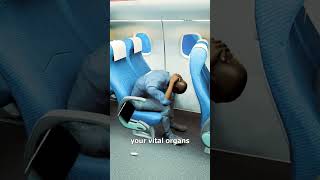 How To Survive A Plane Crash 😨 [upl. by Radack]