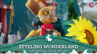 Efteling Wonderland show  Maartse Haas  Opgeruimd staat netjes 🎵 [upl. by Ryley]