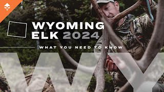 How to Hunt Elk in Wyoming Changes for 2024 and Everything Else You Need to Know [upl. by Otilesoj215]