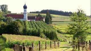 Hopfen aus der Hallertau  für die besten Biere der Welt [upl. by Eirek]