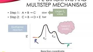 Reaction Mechanisms [upl. by Akived]