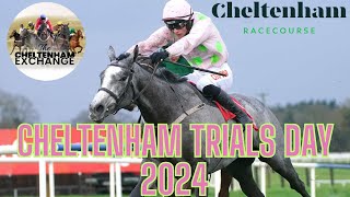 Cheltenham Trials Day Meeting Preview  Episode 13  Predictions  Tips  Selections [upl. by Rehotsirhc615]