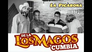 Los Magos de La Cumbia  La Picarona 2024 [upl. by Ahsiuq]