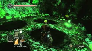 Dark Souls II Walkthrough 42 Schwarze Schlucht amp Der Verkommene [upl. by Isahella]