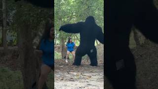 The giant gorilla 🦍😀 el gorila gigante 3 funny prank disfraz bromas comedy [upl. by Elrahc504]