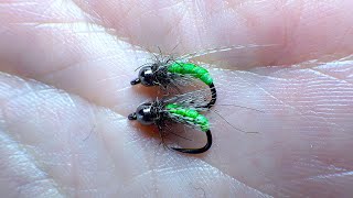 Tying a Catgut Green Caddis Pupa with Davie McPhail [upl. by Madaih]