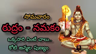 SRI RUDRAM  NAMAKAM  CHAMAKAM  శ్రీ రుద్రం నమకం చమకం [upl. by Chicky647]