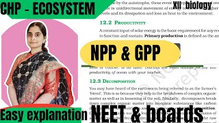 XII ecology  productivity NPP amp GPP Decomposition  detritus [upl. by Airrej]