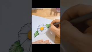 How To Draw a Daisy Flower Easy To Do Draw with Fine Liner pens Card Making Simple Drawing [upl. by Nallaf]