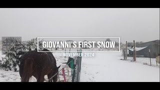 Giovannis First Snow [upl. by Nachison480]