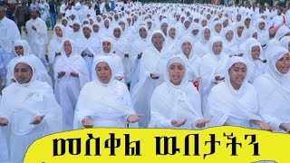 እንኳን ለብርሃነ መስቀሉ አደረሳችሁ አደረሰን ቀጥታ ስርጭት [upl. by Novaat]